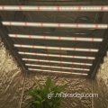 Το νεότερο φυτό εσωτερικού χώρου LED αναπτύσσει το φως κάνναβης 600W
